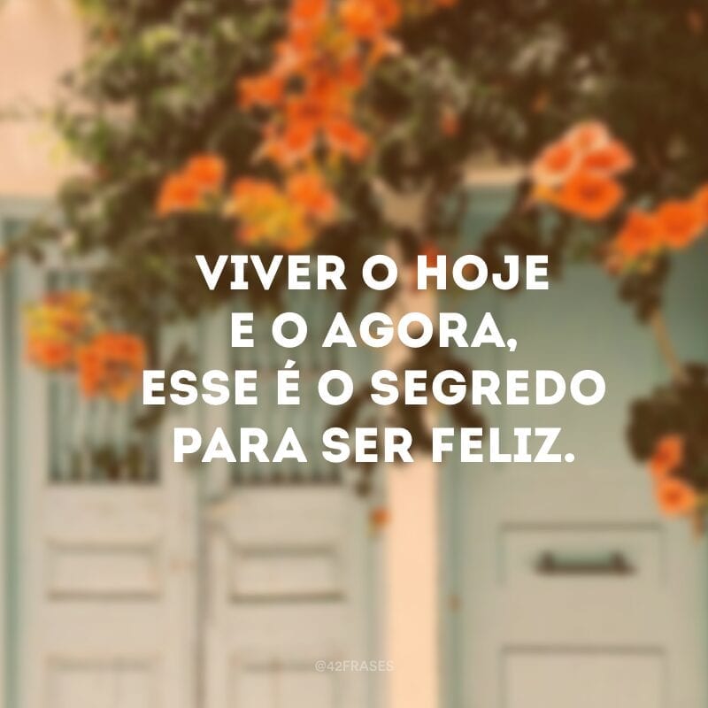 Viver o hoje e o agora, esse é o segredo para ser feliz.