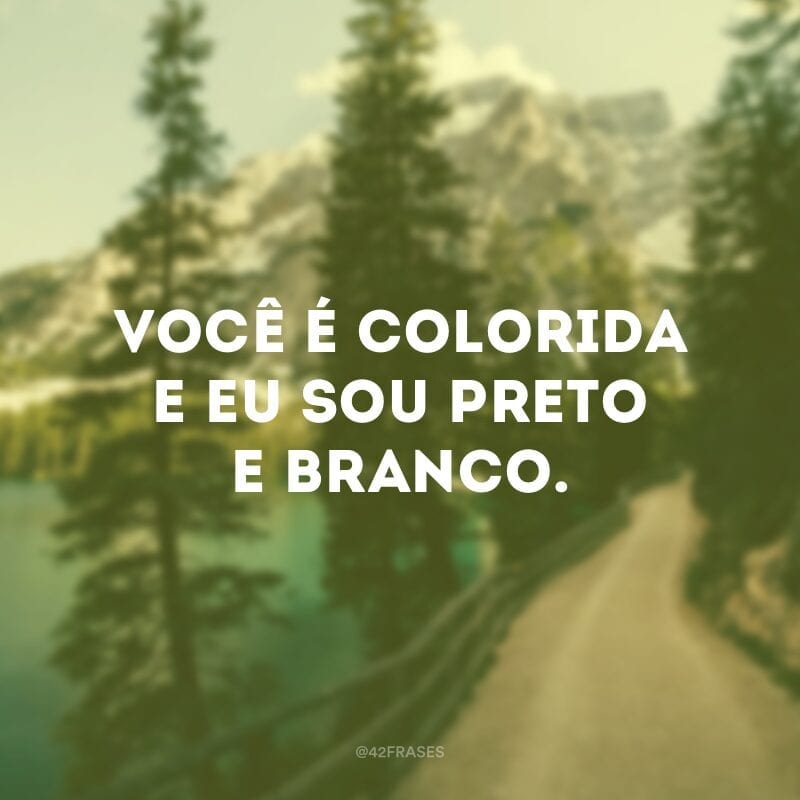 Você é colorida e eu sou preto e branco.