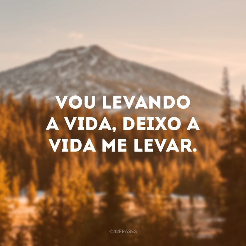 Vou levando a vida, deixo a vida me levar. 