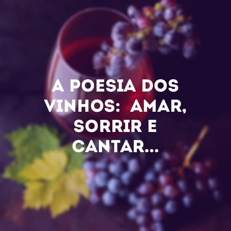 A poesia dos vinhos:  amar, sorrir e cantar...