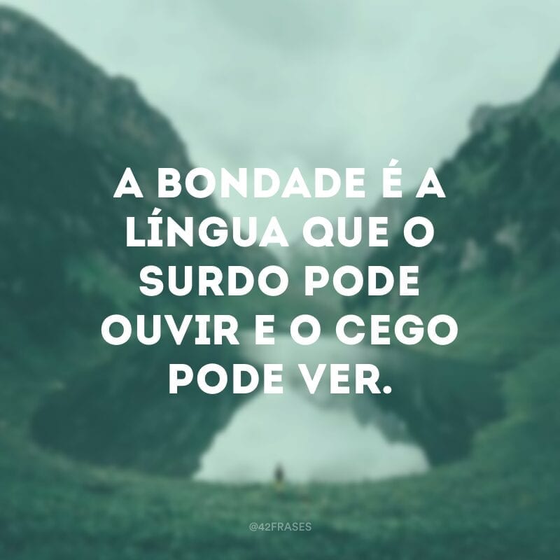 A bondade é a língua que o surdo pode ouvir e o cego pode ver. 