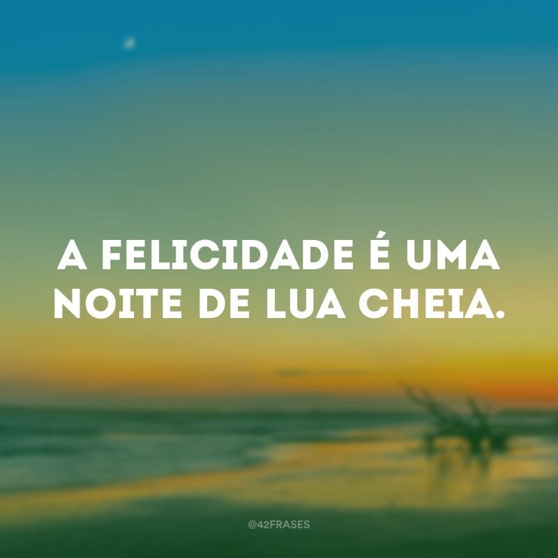 A felicidade é uma noite de lua cheia.