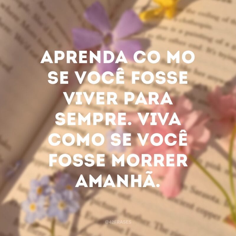 Aprenda como se você fosse viver para sempre. Viva como se você fosse morrer amanhã.