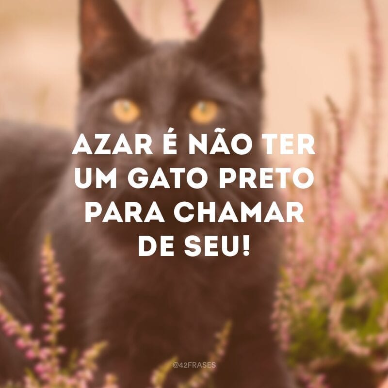 Azar é não ter um gato preto para chamar de seu!