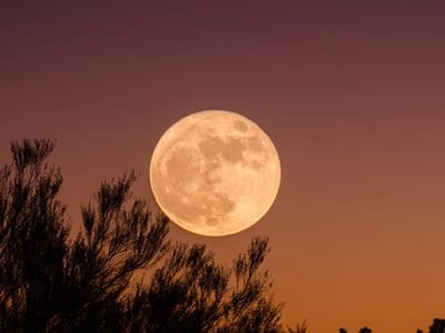 50 frases sobre a lua que te farão prestar mais atenção na beleza dela