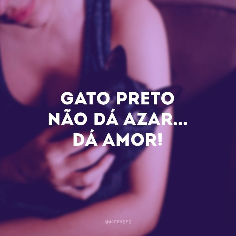 Gato preto não dá azar... Dá amor!