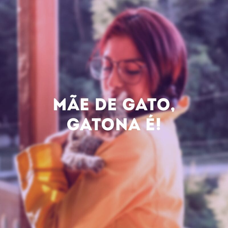 Mãe de gato, gatona é!