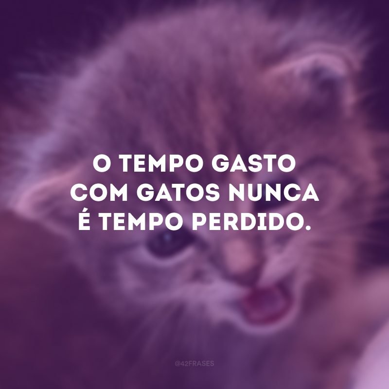 O tempo gasto com gatos nunca é tempo perdido.