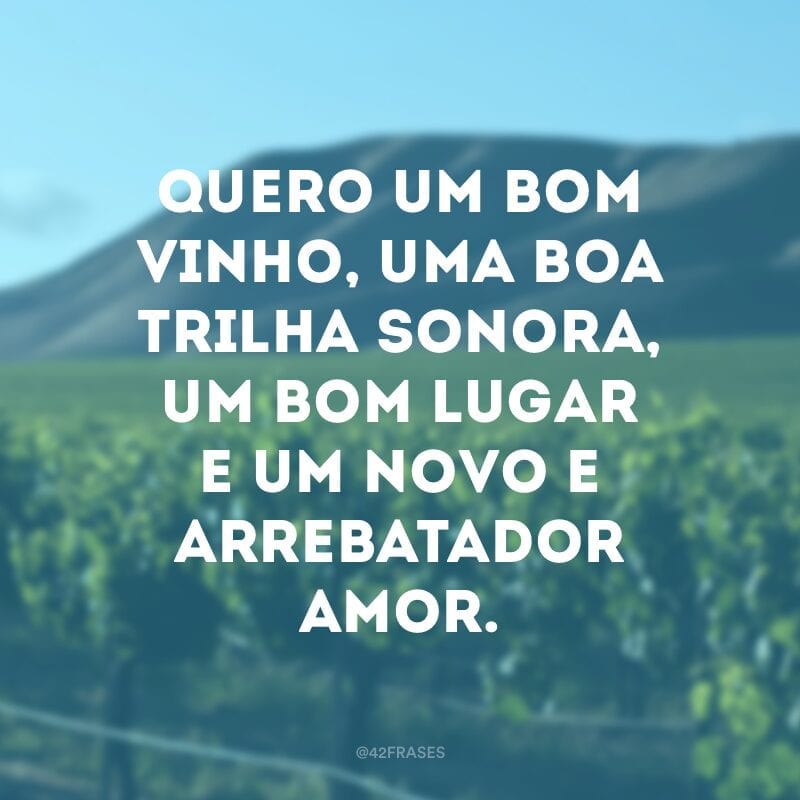 Quero um bom vinho, uma boa trilha sonora, um bom lugar e um novo e arrebatador amor. 