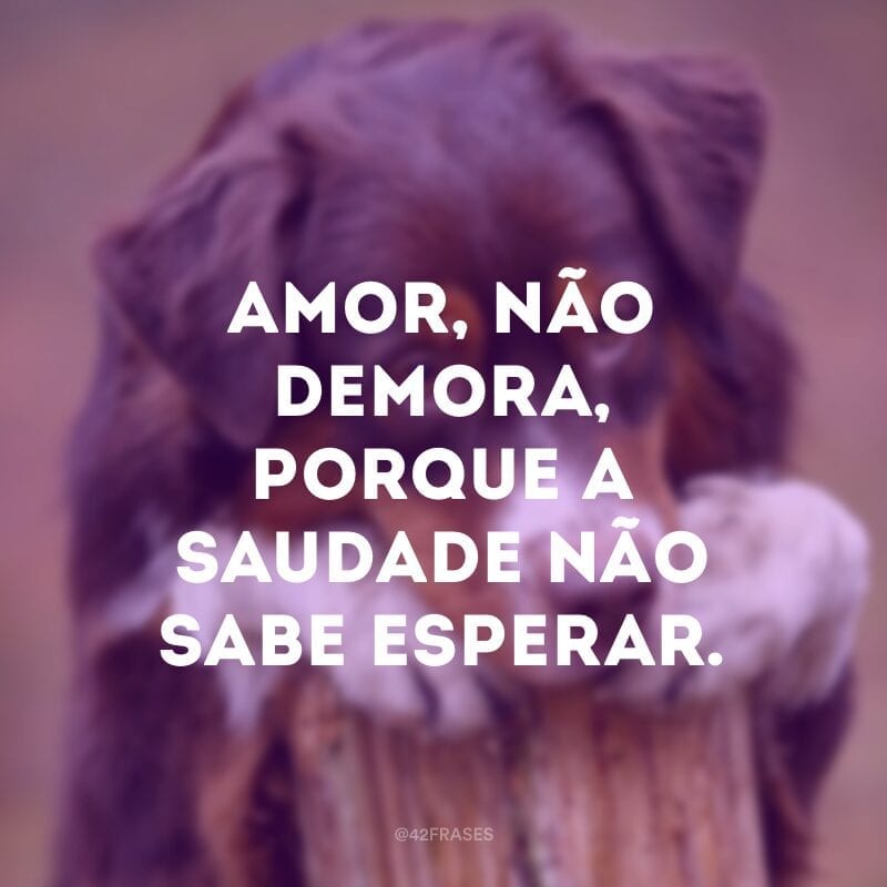 Amor, não demora, porque a saudade não sabe esperar.