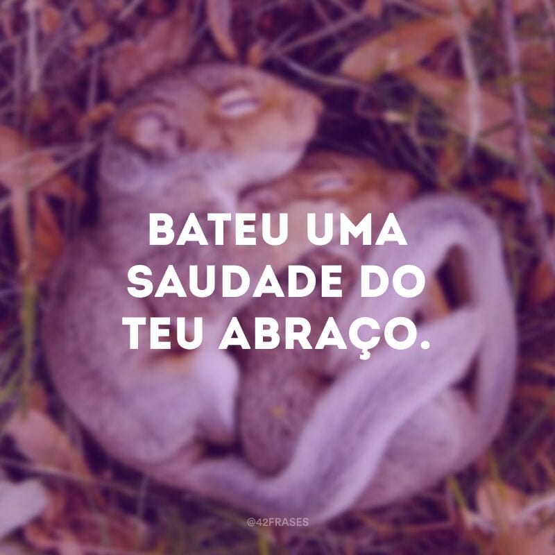 Bateu uma saudade do teu abraço.