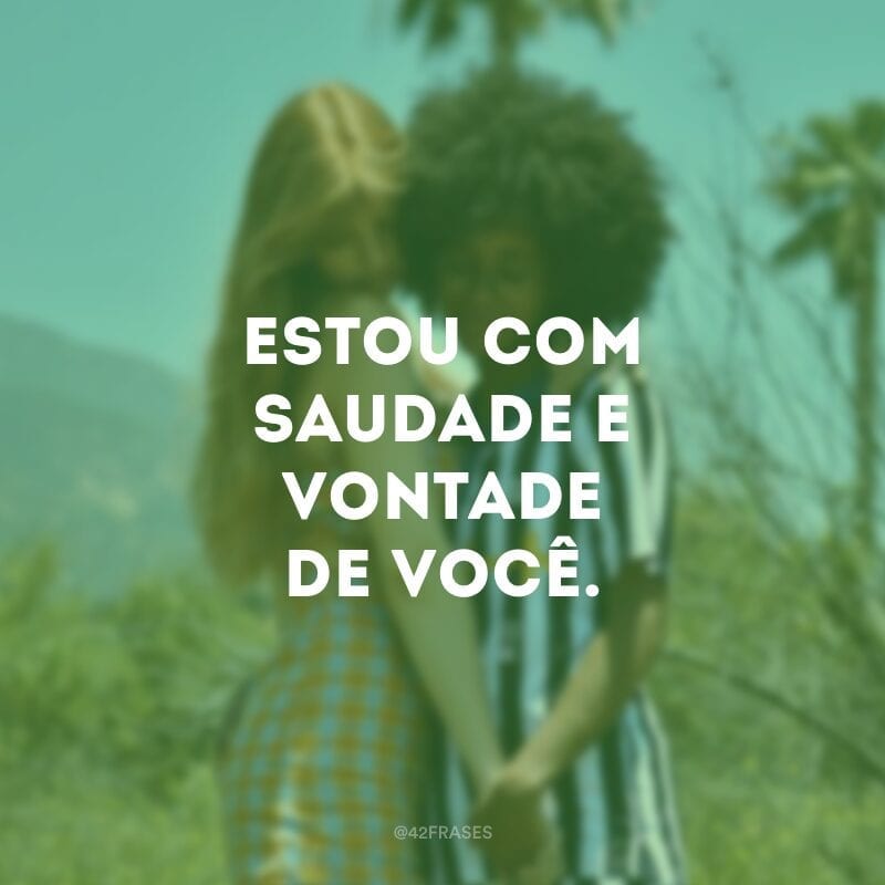 Estou com saudade e vontade de você.