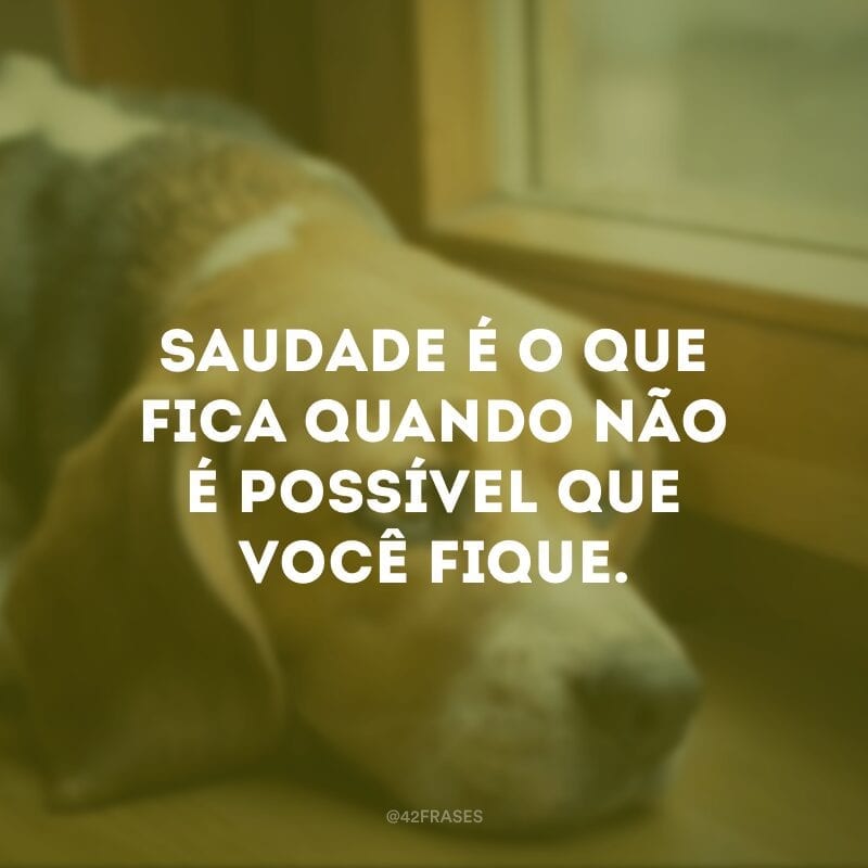 Saudade é o que fica quando não é possível que você fique.