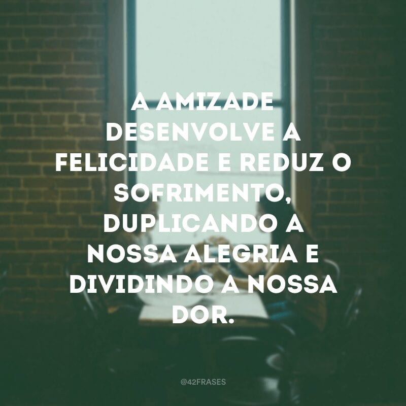 A amizade desenvolve a felicidade e reduz o sofrimento, duplicando a nossa alegria e dividindo a nossa dor.