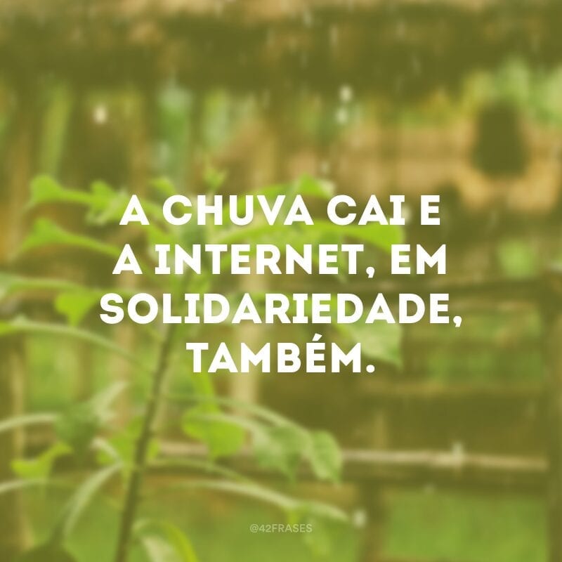 A chuva cai e a internet, em solidariedade, também.