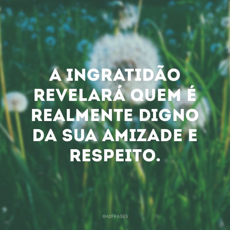 A ingratidão revelará quem é realmente digno da sua amizade e respeito.