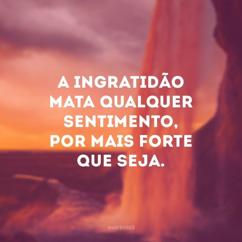 A ingratidão mata qualquer sentimento, por mais forte que seja.