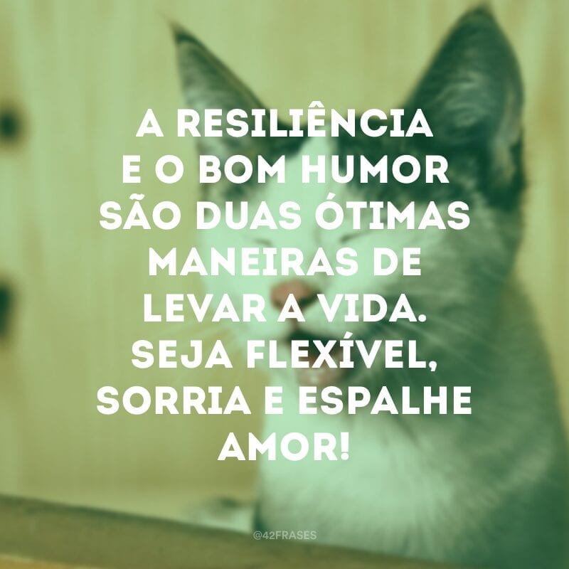 A resiliência e o bom humor são duas ótimas maneiras de levar a vida. Seja flexível, sorria e espalhe amor!