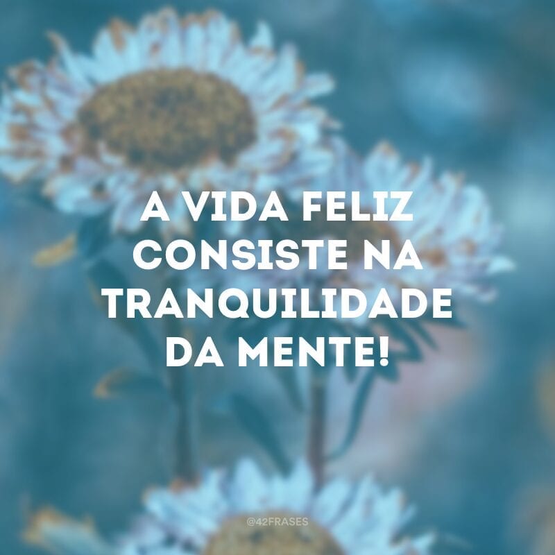 A vida feliz consiste na tranquilidade da mente!