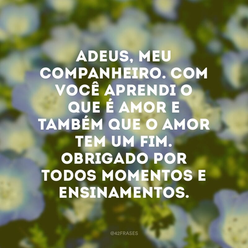 Adeus, meu companheiro. Com você aprendi o que é amor e também que o amor tem um fim. Obrigado por todos momentos e ensinamentos.