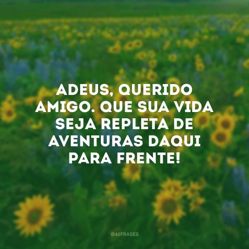 Adeus, querido amigo. Que sua vida seja repleta de aventuras daqui para frente!