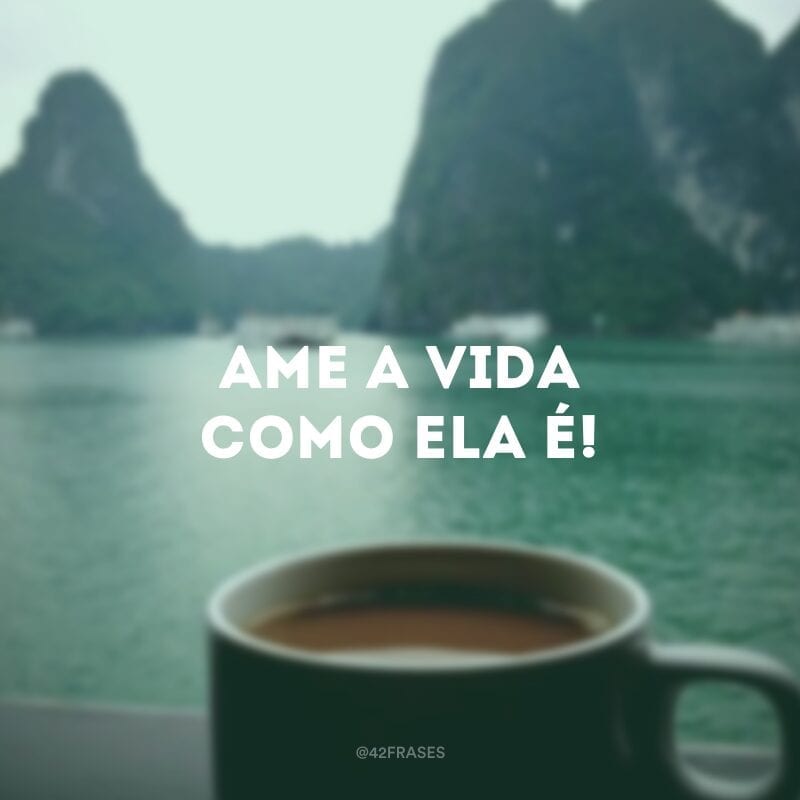 Ame a vida como ela é!