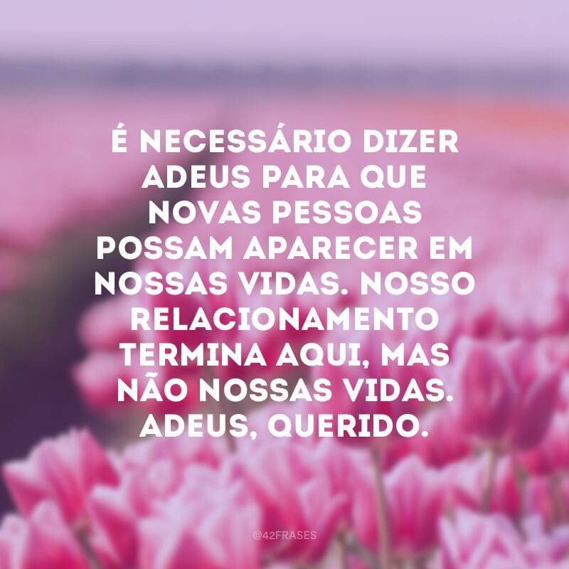 É necessário dizer adeus para que novas pessoas possam aparecer em nossas vidas. Nosso relacionamento termina aqui, mas não nossas vidas. Adeus, querido.