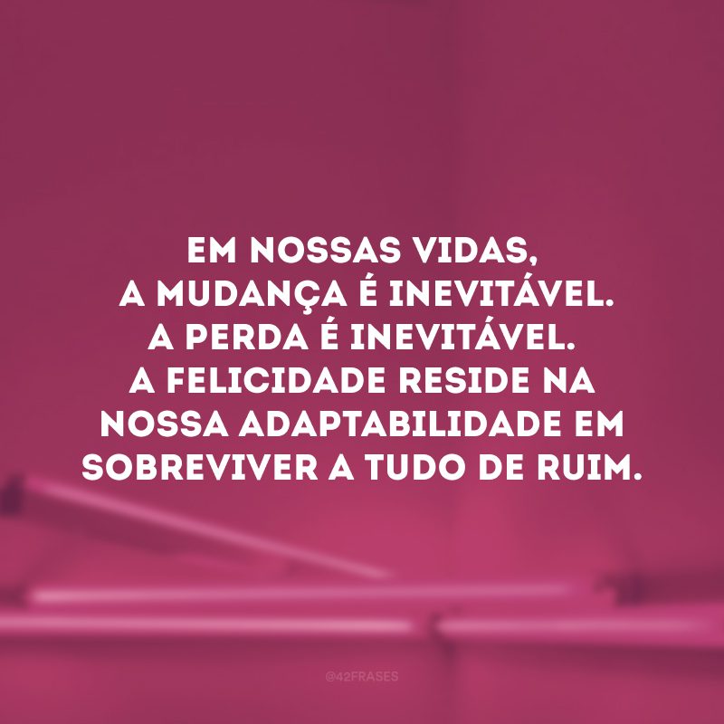 Em nossas vidas, a mudança é inevitável. A perda é inevitável. A felicidade reside na nossa adaptabilidade em sobreviver a tudo de ruim. 