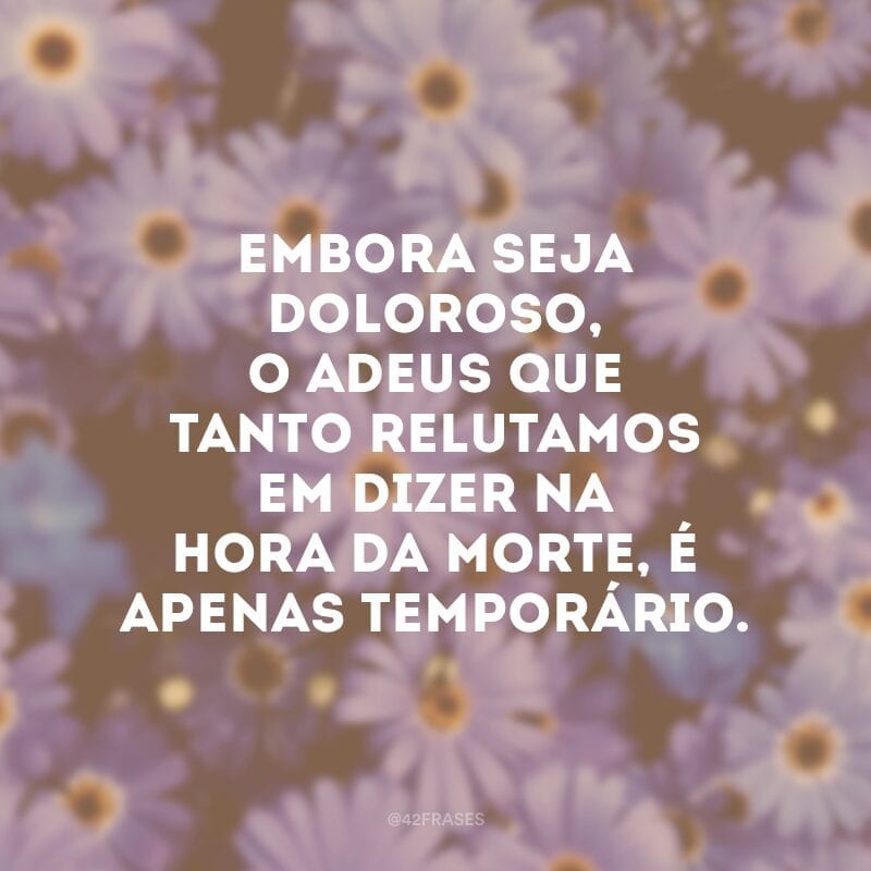 Embora seja doloroso, o adeus que tanto relutamos em dizer na hora da morte, é apenas temporário.