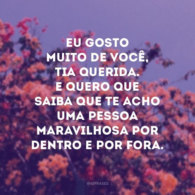 Eu gosto muito de você, tia querida. E quero que saiba que te acho uma pessoa maravilhosa por dentro e por fora.