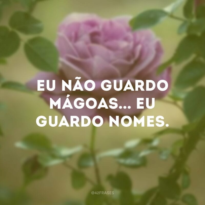 Eu não guardo mágoas... Eu guardo nomes.