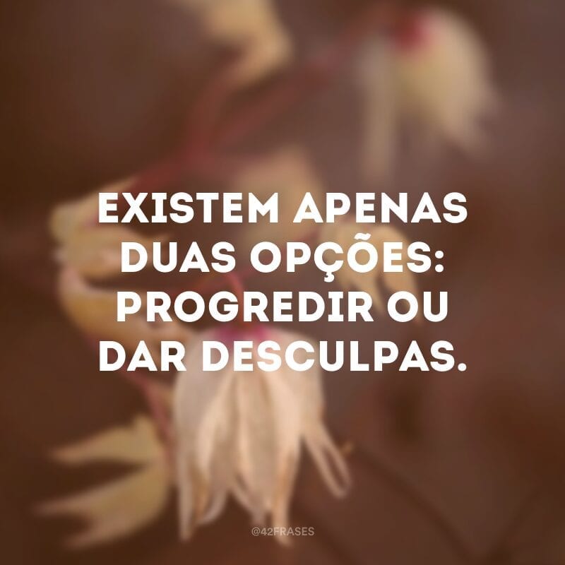 Existem apenas duas opções: progredir ou dar desculpas.