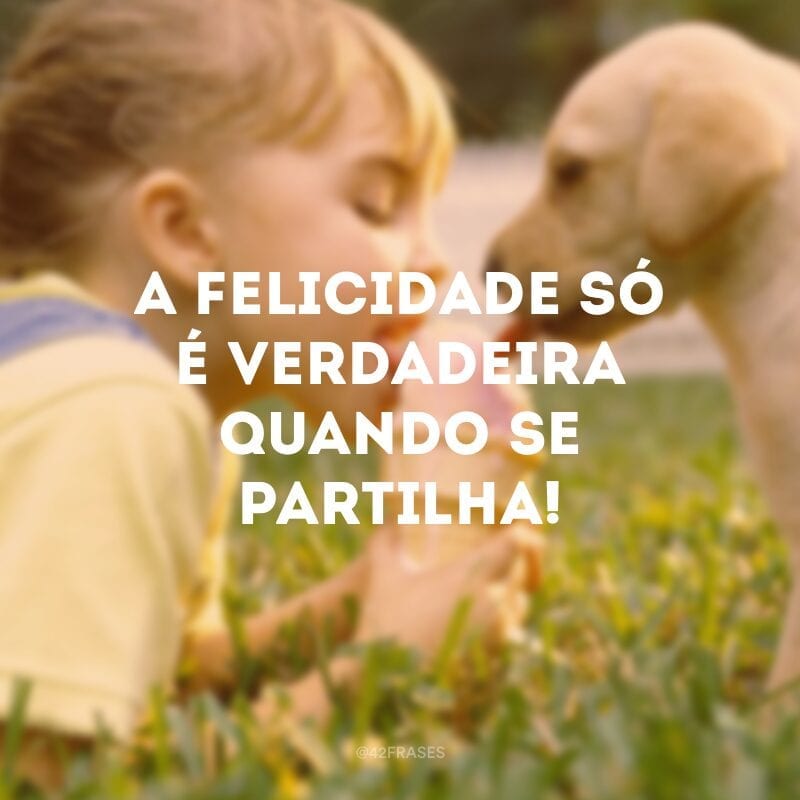 A felicidade só é verdadeira quando se partilha!