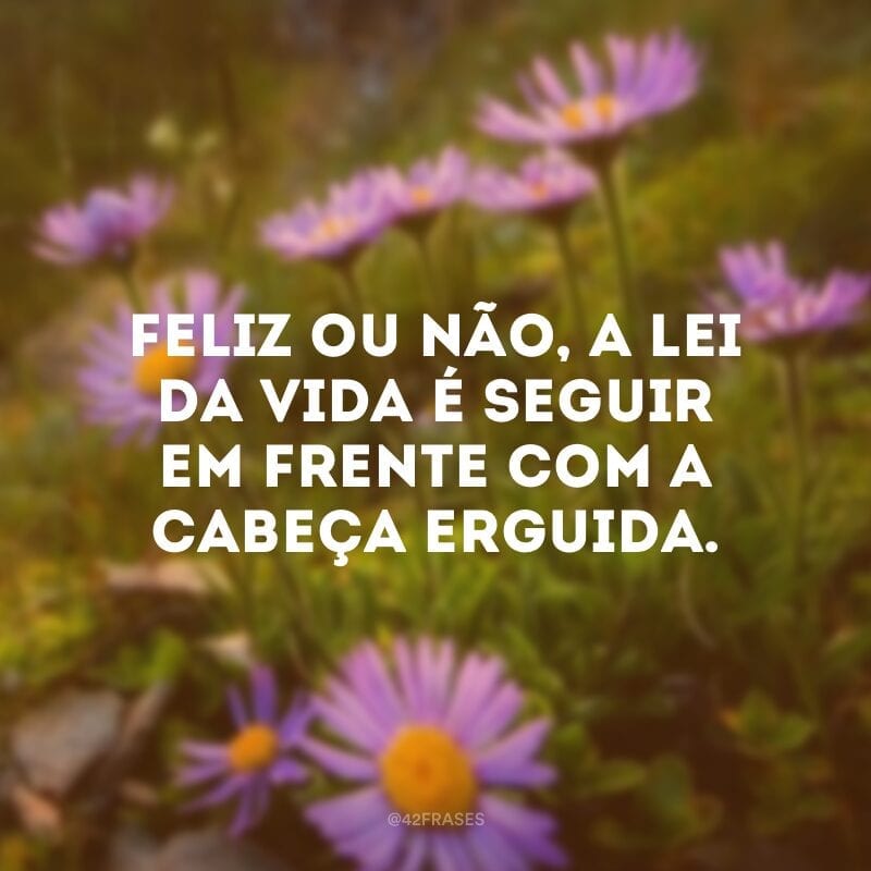 Feliz ou não, a lei da vida é seguir em frente com a cabeça erguida. 