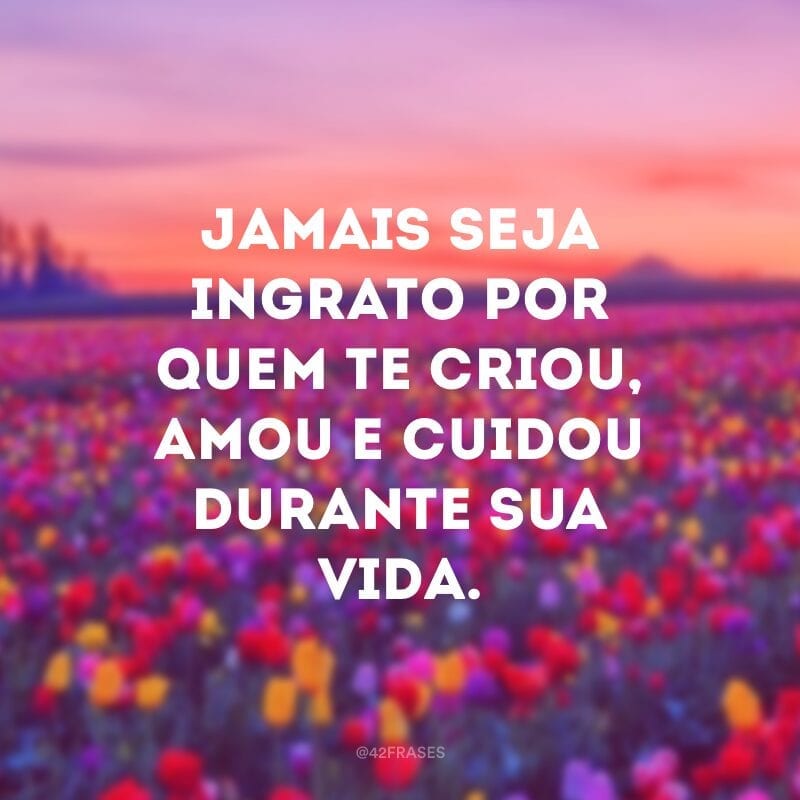 Jamais seja ingrato por quem te criou, amou e cuidou durante sua vida.