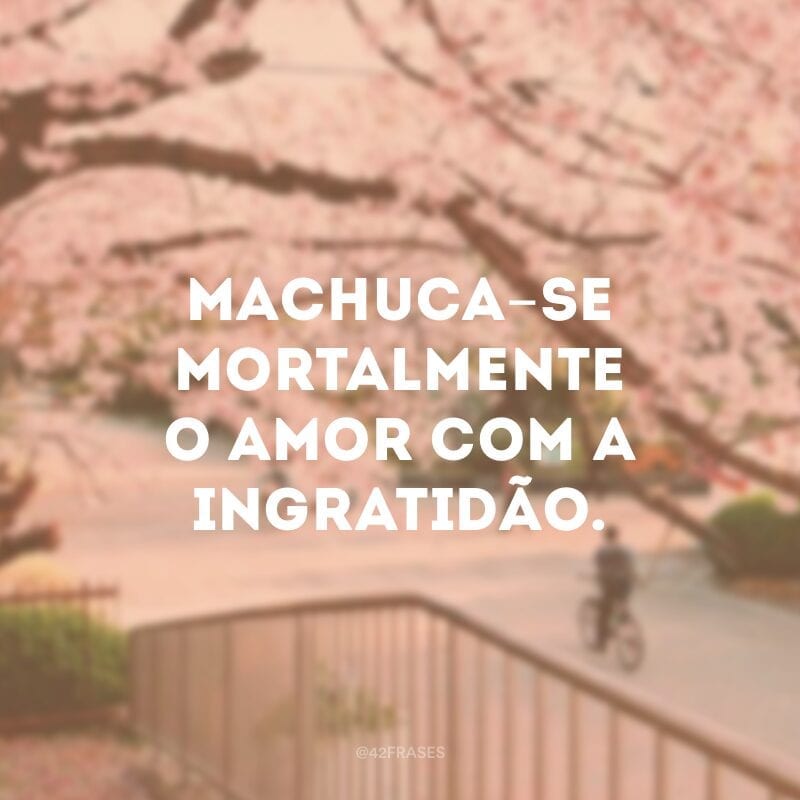 Machuca-se mortalmente o amor com a ingratidão.