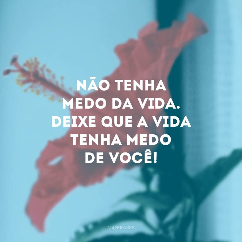 Não tenha medo da vida. Deixe que a vida tenha medo de você!