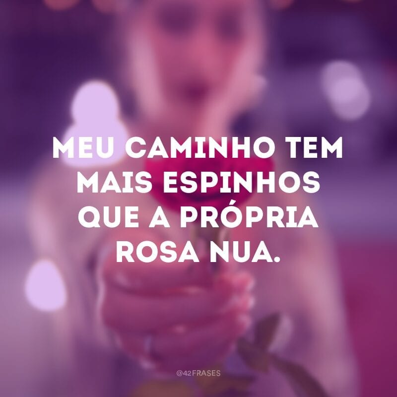 Meu caminho tem mais espinhos que a própria rosa nua.