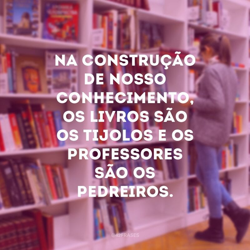 Na construção de nosso conhecimento, os livros são os tijolos e os professores são os pedreiros.