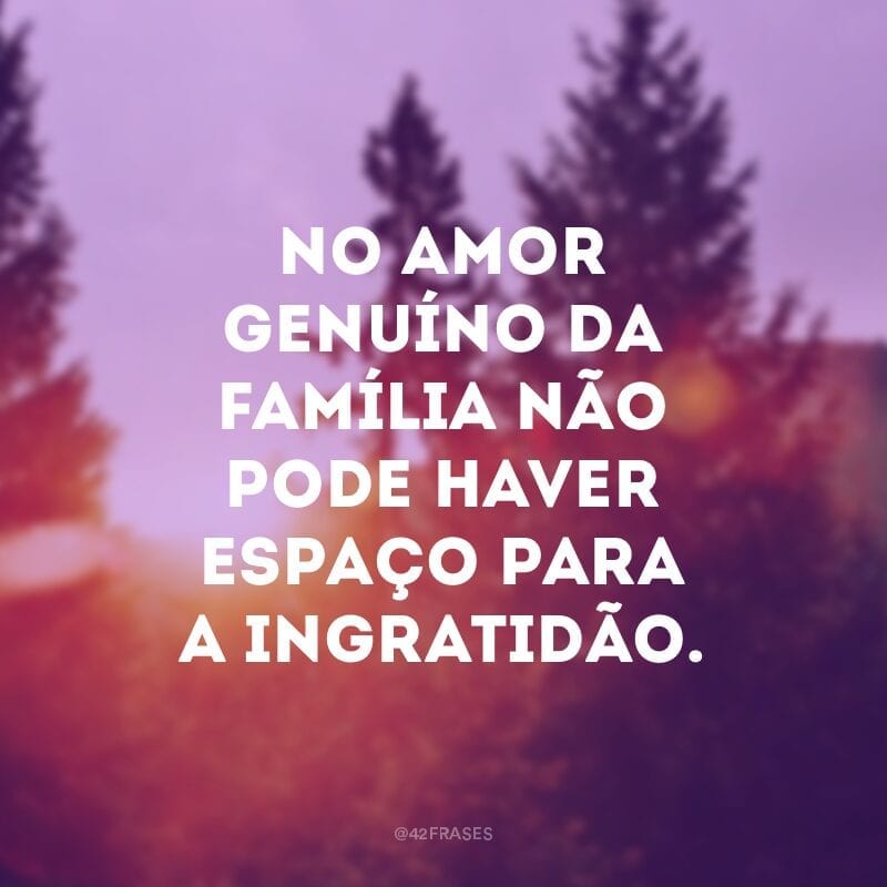 No amor genuíno da família não pode haver espaço para a ingratidão.