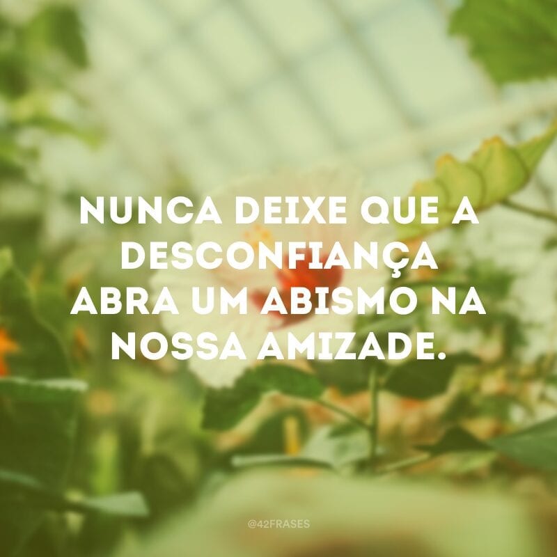 Nunca deixe que a desconfiança abra um abismo na nossa amizade.