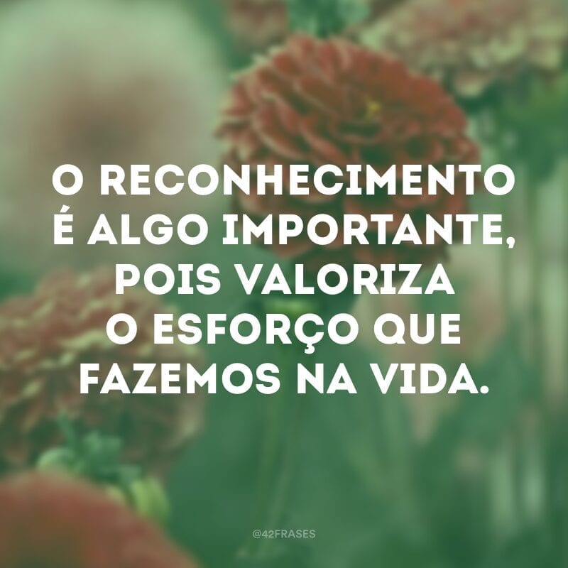 O reconhecimento é algo importante, pois valoriza o esforço que fazemos na vida.