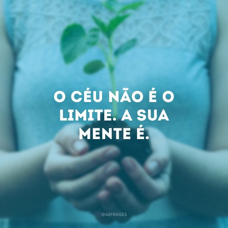 O céu não é o limite. A sua mente é.