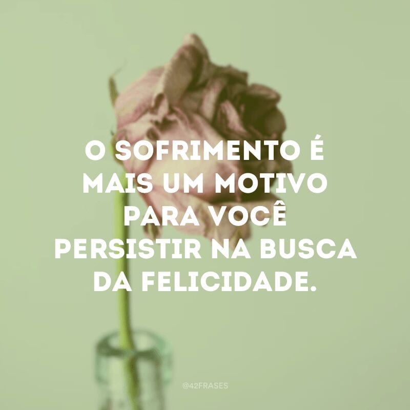 O sofrimento é mais um motivo para você persistir na busca da felicidade.