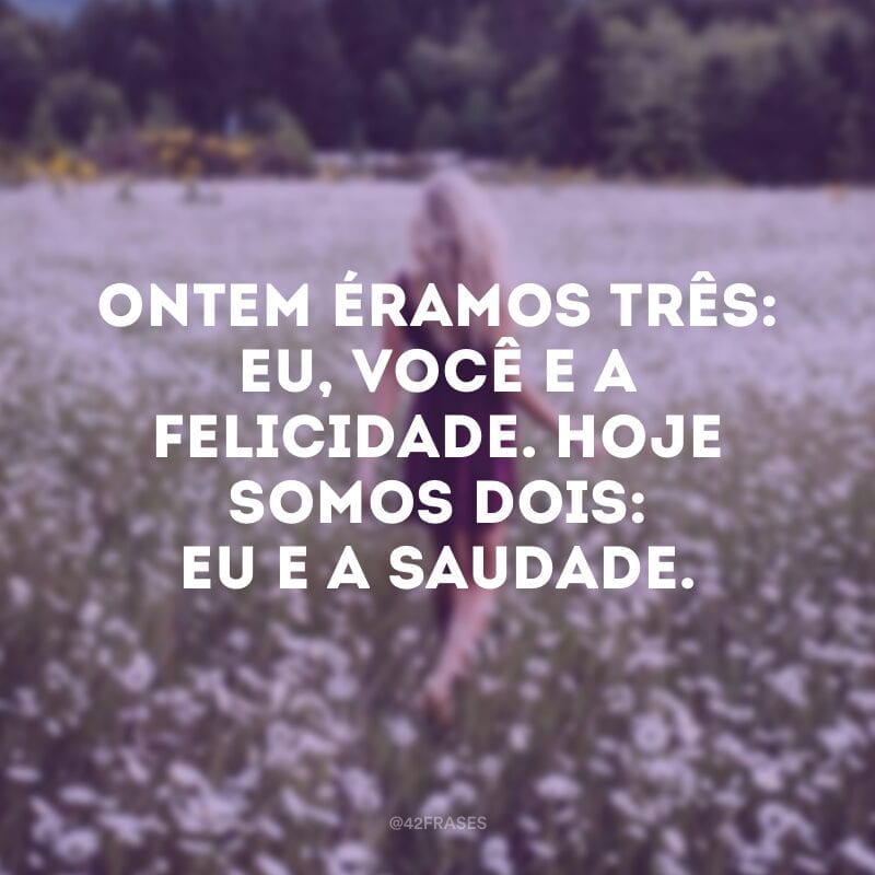 Ontem éramos três: eu, você e a felicidade. Hoje somos dois: eu e a saudade. 