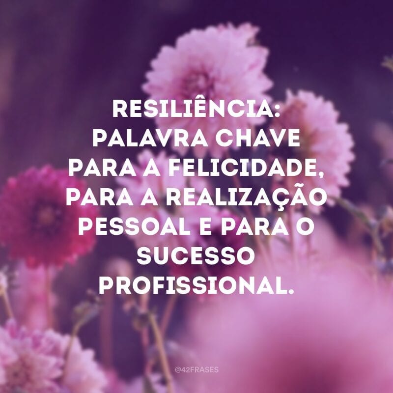 Resiliência: palavra chave para a felicidade, para a realização pessoal e para o sucesso profissional.