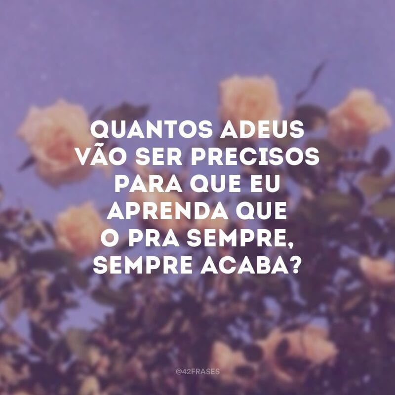 Quantos adeus vão ser precisos para que eu aprenda que o pra sempre, sempre acaba?