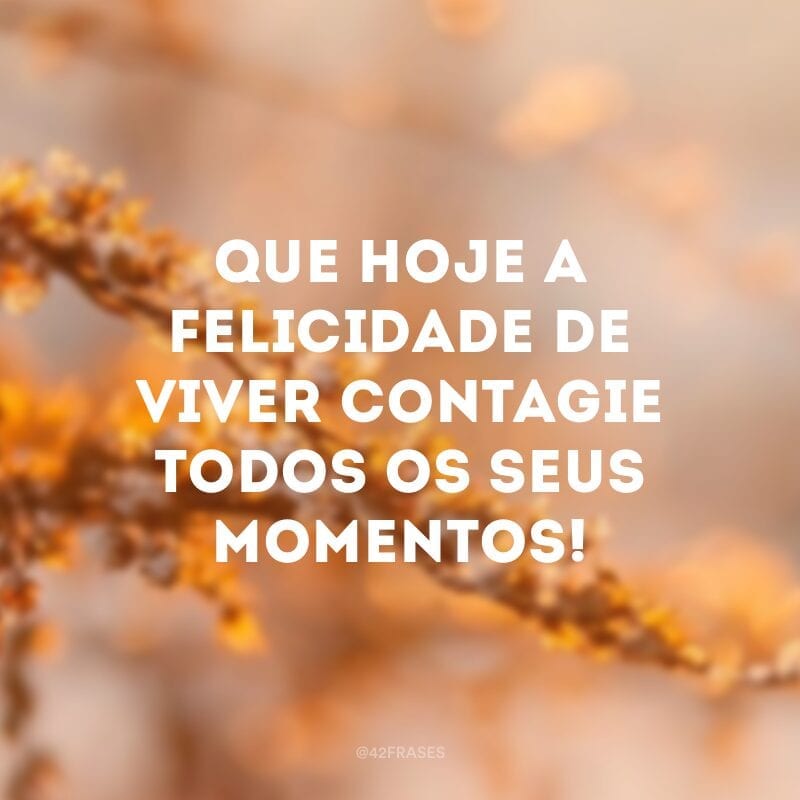 Que hoje a felicidade de viver contagie todos os seus momentos!