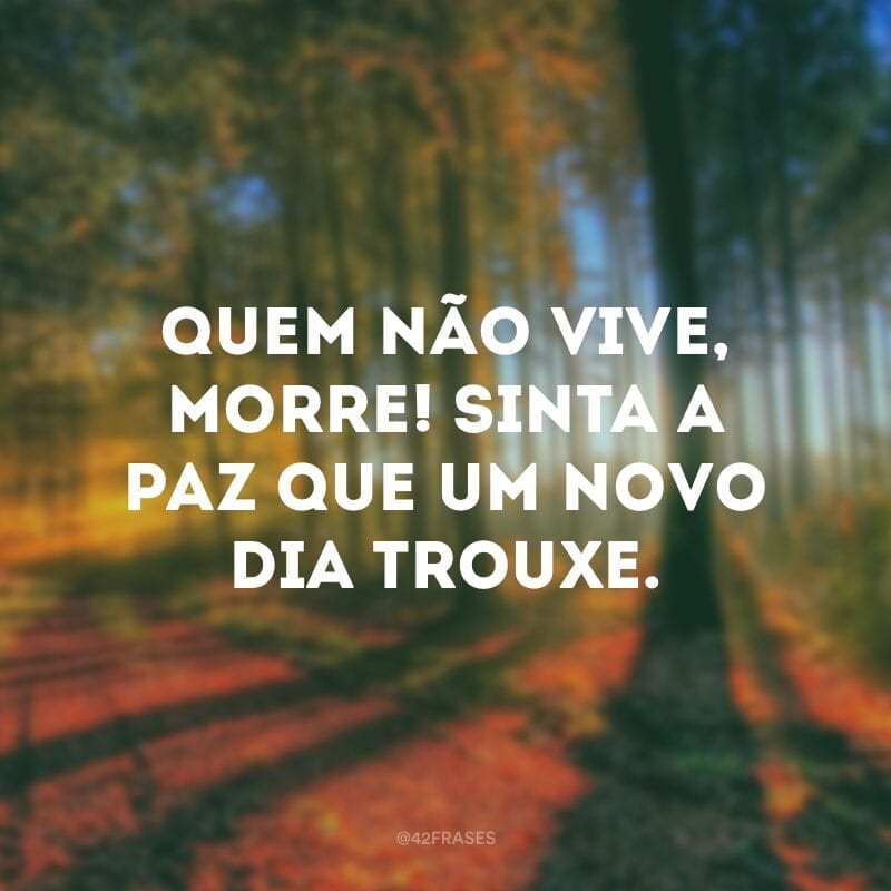 Quem não vive, morre! Sinta a paz que um novo dia trouxe.