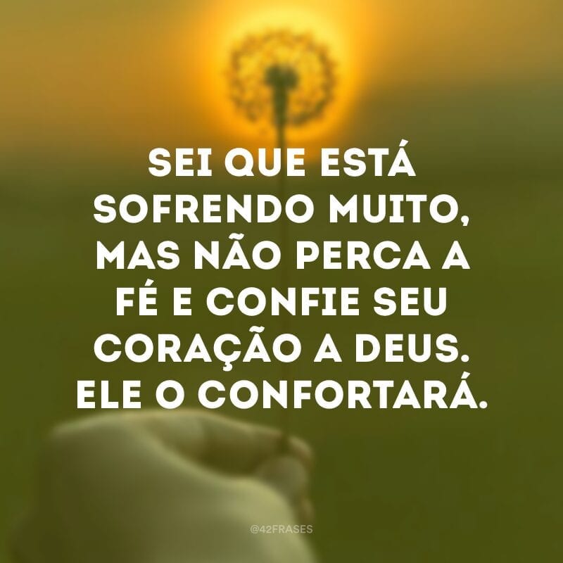 Sei que está sofrendo muito, mas não perca a fé e confie seu coração a Deus. Ele o confortará.